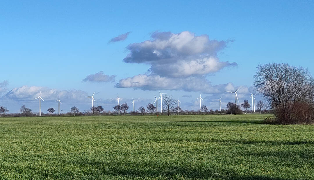Windkraft - Omas for Future