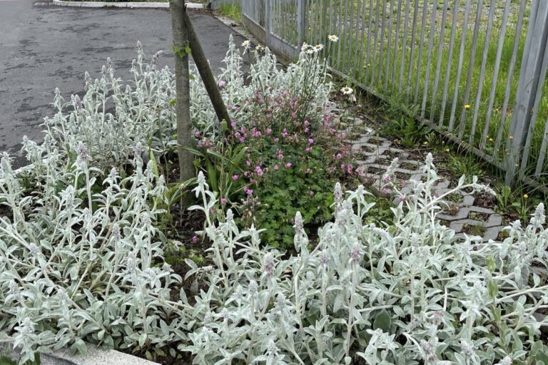 signal 2025 02 20 151354 003 1 768x512