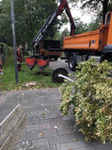 IMG 4061 - Omas for Future