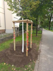 Linde © O4Fgd - Omas for Future