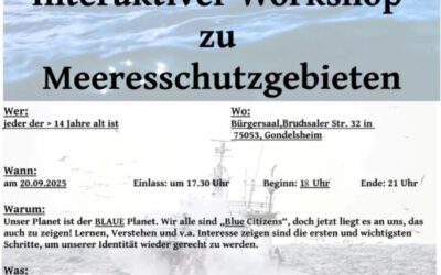 Interaktiver Workshop zu Meeresschutzgebieten