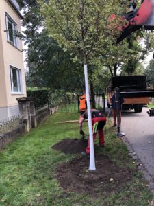 ©O4Fgd 3 - Omas for Future