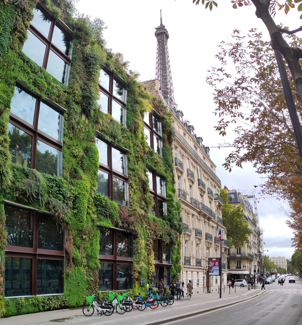 Paris©O4F - Omas for Future