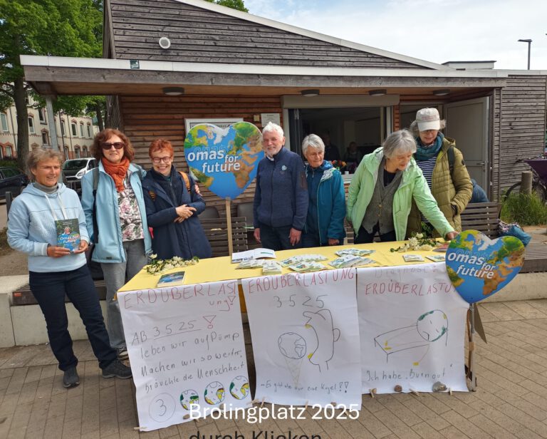 Brolingplatz 2025 Luebeck O4F.jpg - Omas for Future Brolingplatz 2025 Luebeck O4F.jpg 768x616