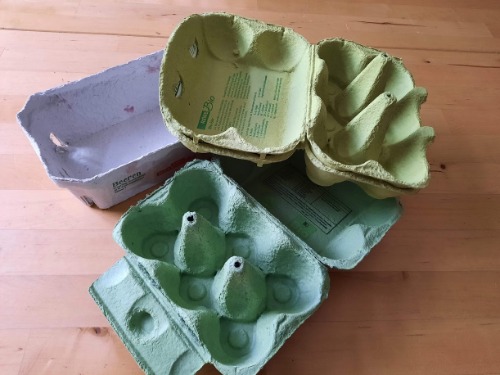 Eierpackungen1 - Omas for Future