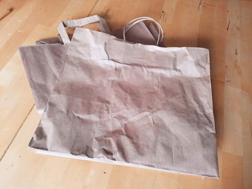 Fakeleder1 - Omas for Future