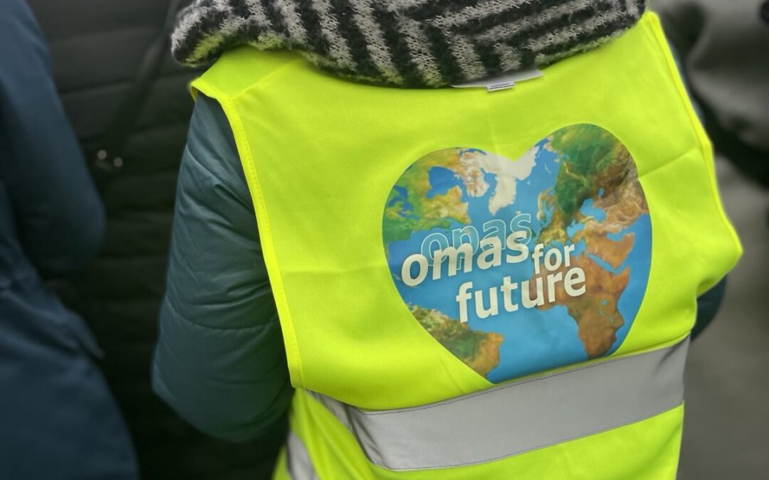 Eine Person, die eine leuchtend gelbe Weste mit einer herzförmigen Weltkugel und der Aufschrift omas for future trägt, steht inmitten einer Menschenmenge, von hinten gesehen. Die Person trägt außerdem eine graue Strickmütze und einen gestreiften Schal.