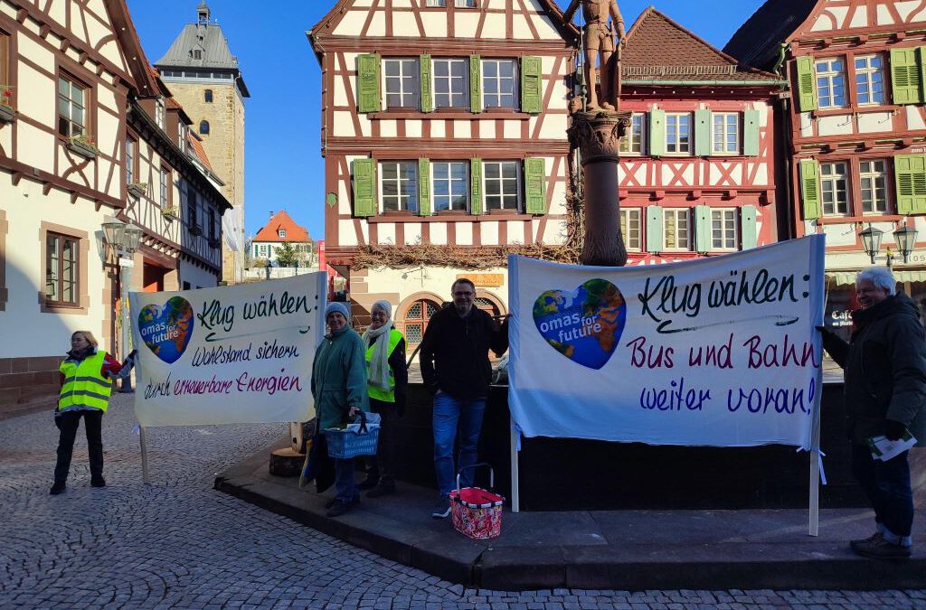 Infostand mit Wahlquiz der Omas for Future am 21. Februar 2026