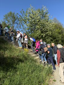 Obstbaumbluetenwanderung20260429©JR - Omas for Future Eine Gruppe von Menschen mit Rucksäcken erklimmt eine Treppe im Freien, umgeben von Grün und Bäumen unter einem klaren blauen Himmel.
