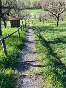 Obstbaumbluetenwanderung20260429©JS - Omas for Future