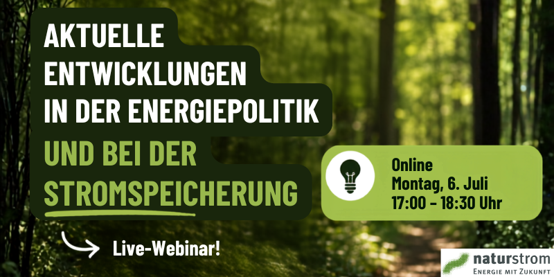 Grafik mit deutschem Text zu einem Live-Webinar über aktuelle Entwicklungen in der Energiepolitik und bei der Energiespeicherung, das für Montag, den 6. Juli, von 17:00 bis 18:30 Uhr angesetzt ist, vor dem Hintergrund eines sonnenbeschienenen Waldweges.