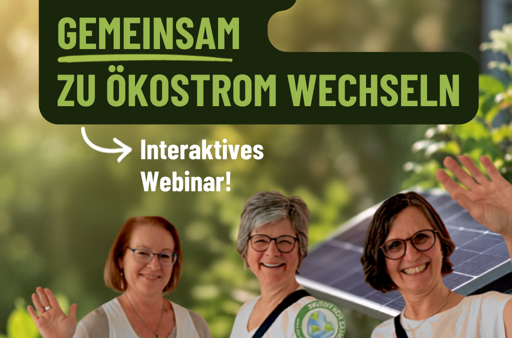 Interaktives Webinar: Gemeinsam zu Ökostrom wechseln