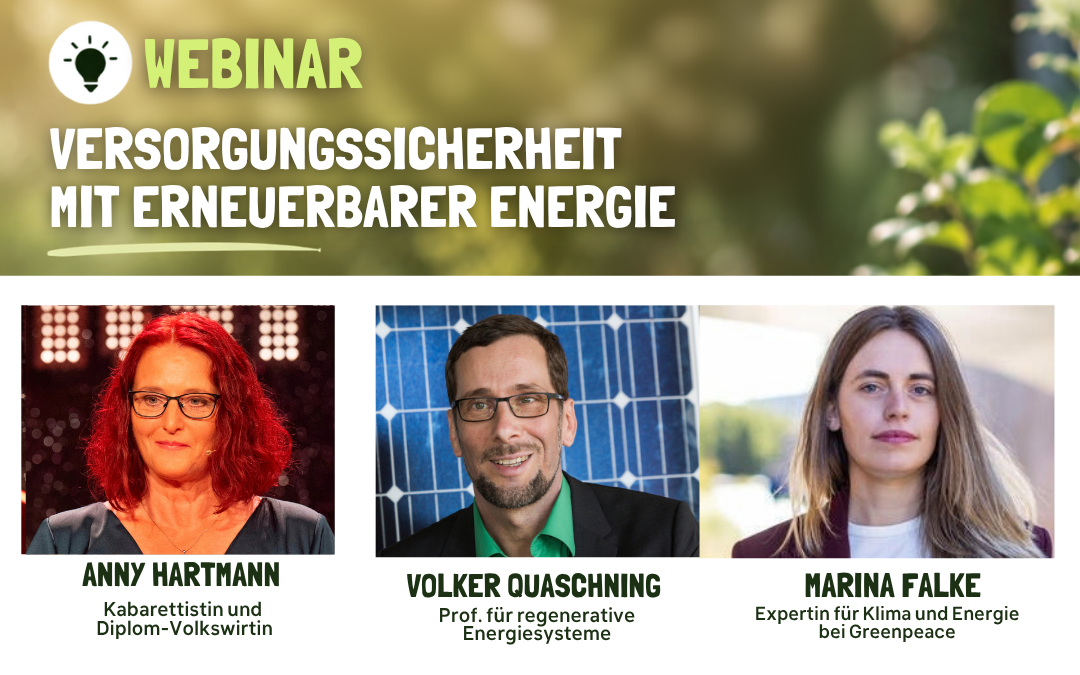 Webinar: Versorgungssicherheit mit erneuerbarer Energie