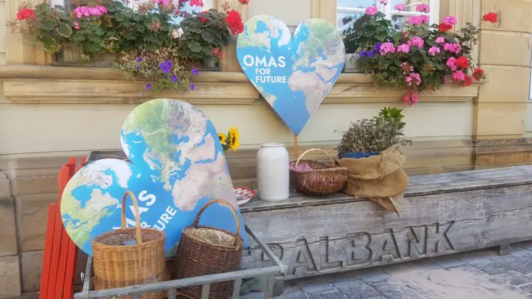 20200920 121532 - Omas for Future 20200920 121532 768x432