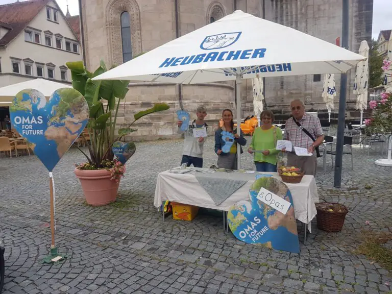 20220910 101311 - Omas for Future 20220910 101311 768x576