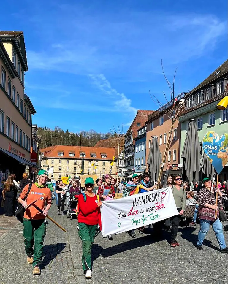 20230318 184834 - Omas for Future 20230318 184834 768x957