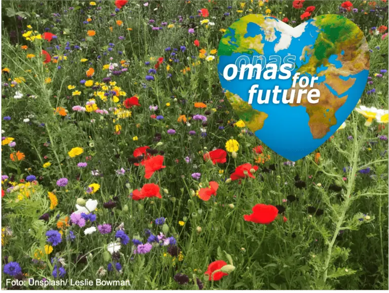 Omas Herz und Wiese 768x579