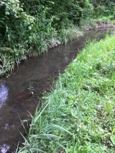 Ein schmaler, ruhiger Bach fließt durch üppige grüne Vegetation und Gras, gesäumt von dichten Bäumen und Büschen auf beiden Seiten, die eine friedliche Naturszene schaffen.