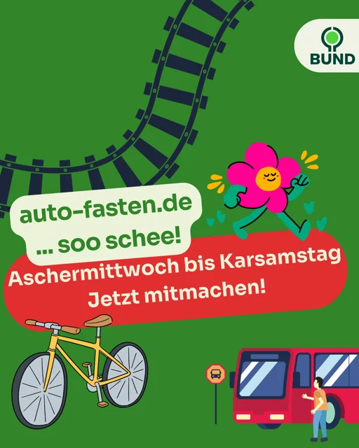 Auto-Fasten 2025