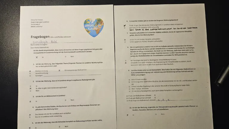 Fragebogen Gruene 1 768x432