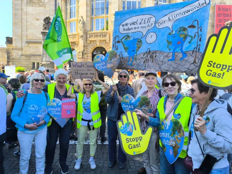 2026Mai DemoFreiburg Offenburg@O4F 768x576